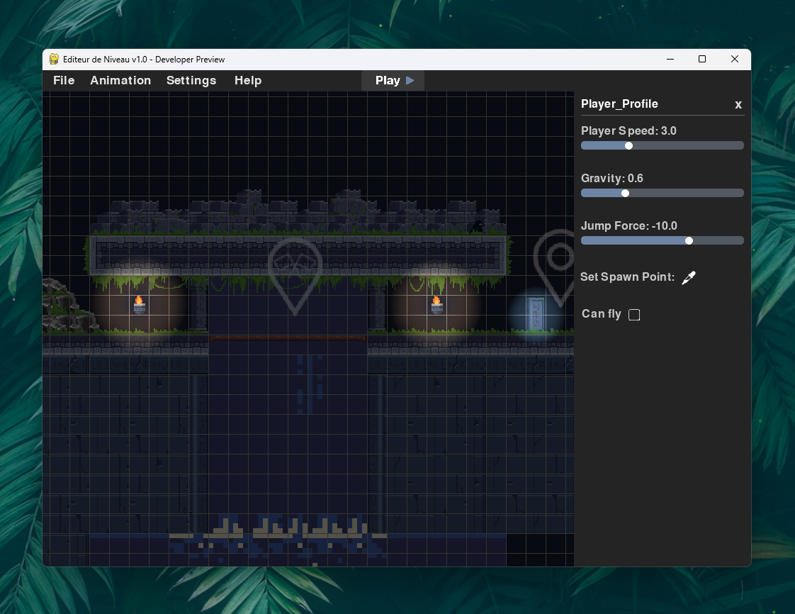 Player Settings